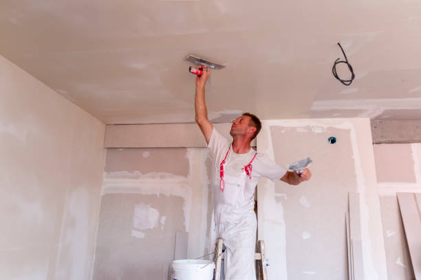 Trusted Forest Ranch, CA Dry wall and painting Experts